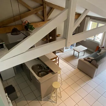 Avec Piscine Et Jardin Le Cosy - Les Bergeronnettes * Bergerac