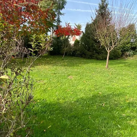 Avec Piscine Et Jardin Le Cosy - Les Bergeronnettes *