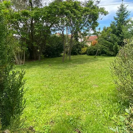 Avec Piscine Et Jardin Le Cosy - Les Bergeronnettes *