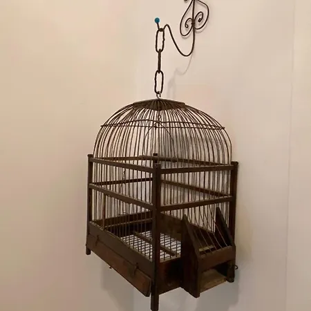 Avec Piscine Et Jardin Le Cosy - Les Bergeronnettes 贝尔热拉克