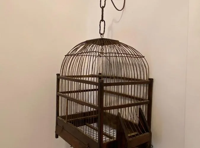 Avec Piscine Et Jardin Le Cosy - Les Bergeronnettes Bergerac